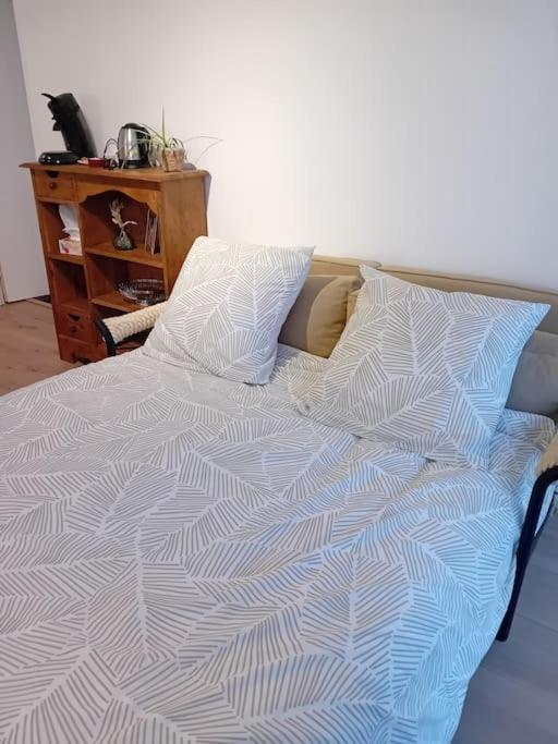 Appartement 2 Pieces Le Louveteau Arbois
